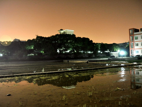 園區(qū)夜景